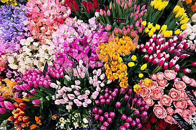 《开炮吧方舟》正在热卖，完美适配掌机的肉鸽佳作等你体验