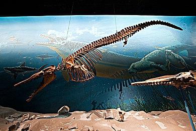 《指环王：夏尔传说》再次跳票 计划7月29日发售